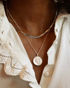 Collier Astro Scorpion 14 Collier Astro Scorpion -Aglaia 260 9489b943 d5b8 441a a4a3 10080cbcbfda