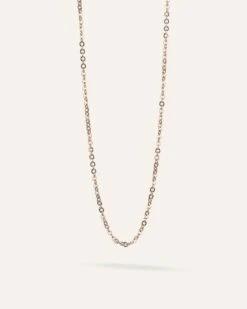 Chaîne Forçat 7 Chaîne Forçat -Aglaia AGR5971