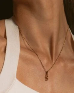 Devant 4 Devant -Aglaia Sessionstudio 444 96362083 6528 48c8 ab8e 12ad18ecf765